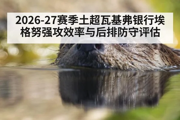 2026-27赛季土超瓦基弗银行埃格努强攻效率与后排防守评估
